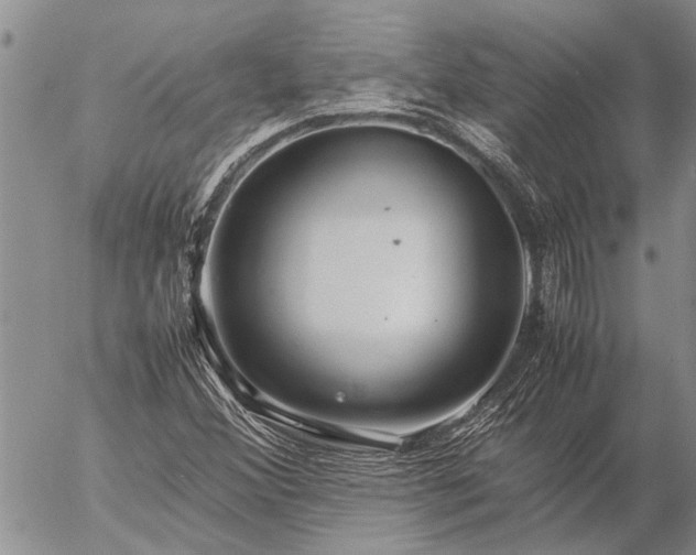 X0000057101356200509161644