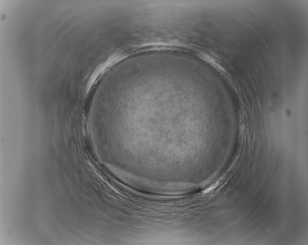 X0000057101357200509161644