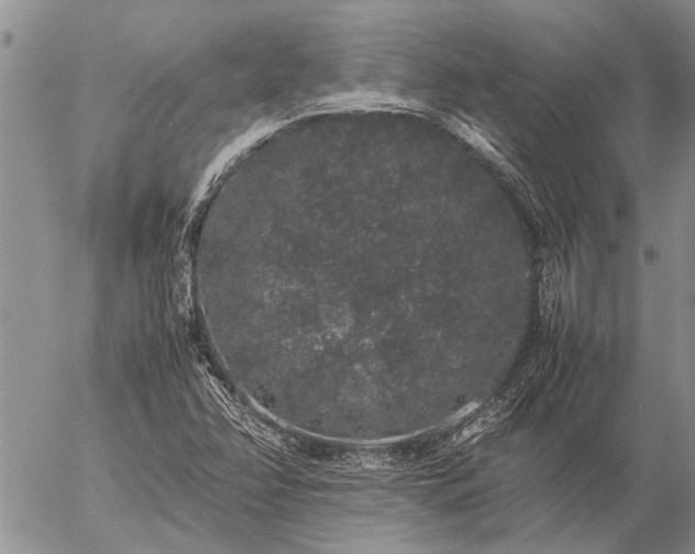 X0000057101358200509161644