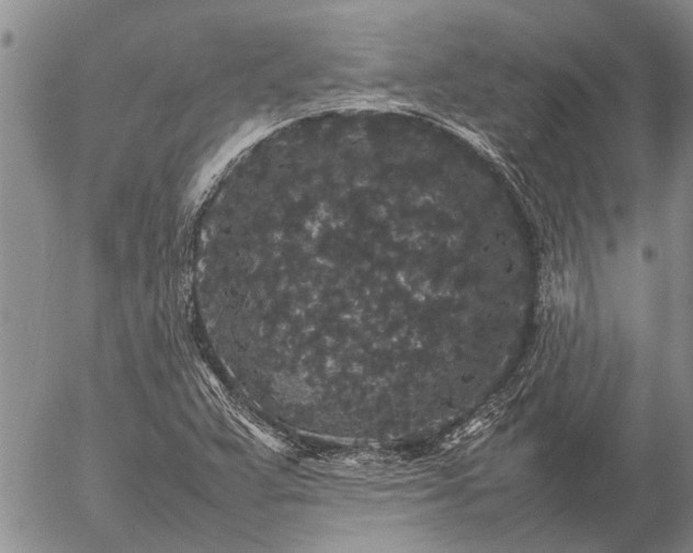 X0000057101359200509161644