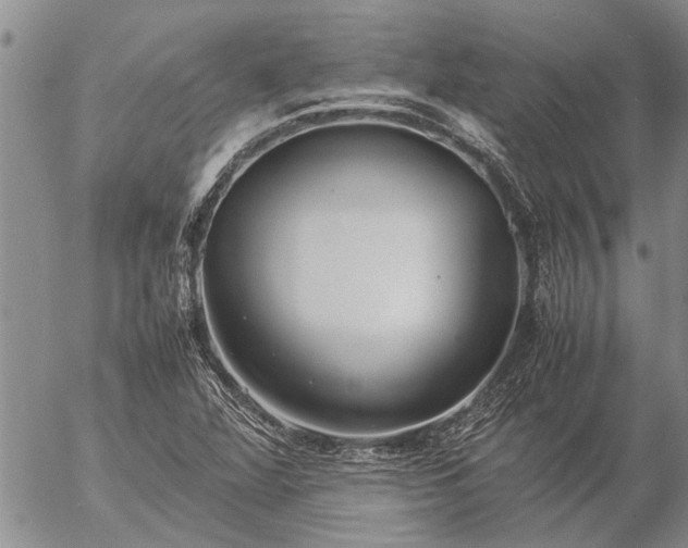 X0000057101360200509161644