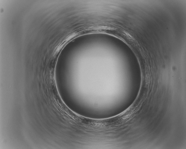 X0000057101361200509161644