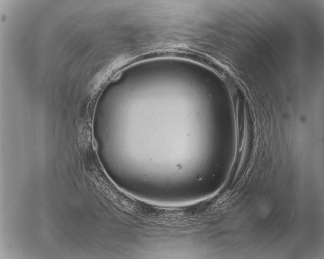 X0000057101363200509161644