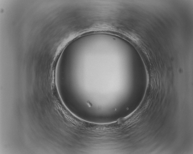 X0000057101366200509161644