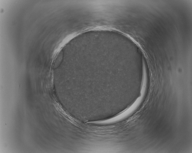 X0000057101367200509161644