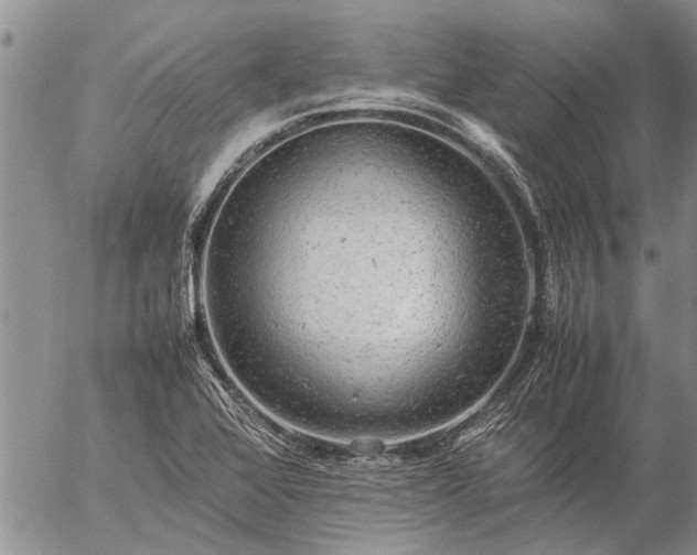 X0000057101368200509161644