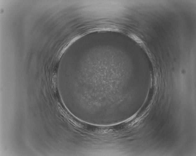 X0000057101369200509161644