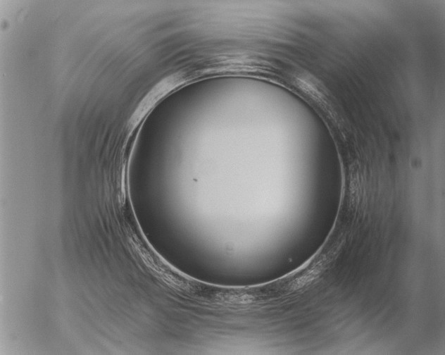 X0000057101370200509161644