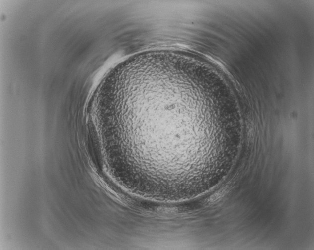 X0000057101371200509161644