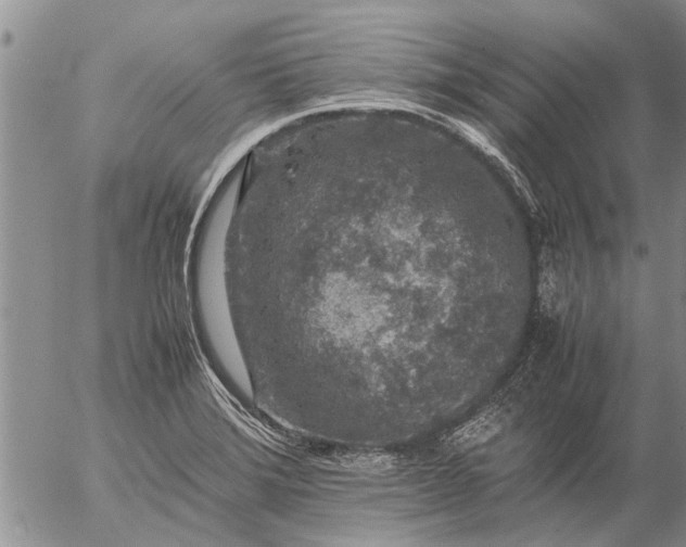 X0000057101372200509161644