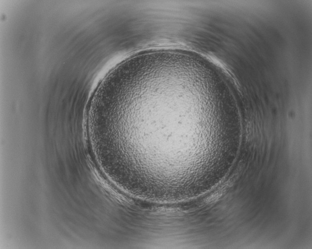 X0000057101374200509161644