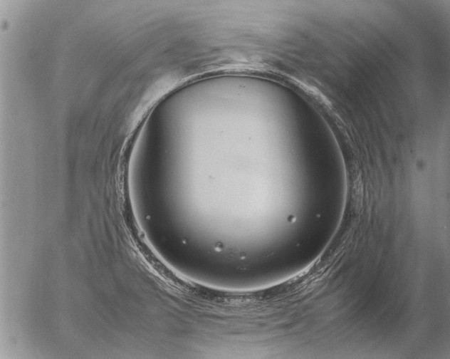 X0000057101375200509161644