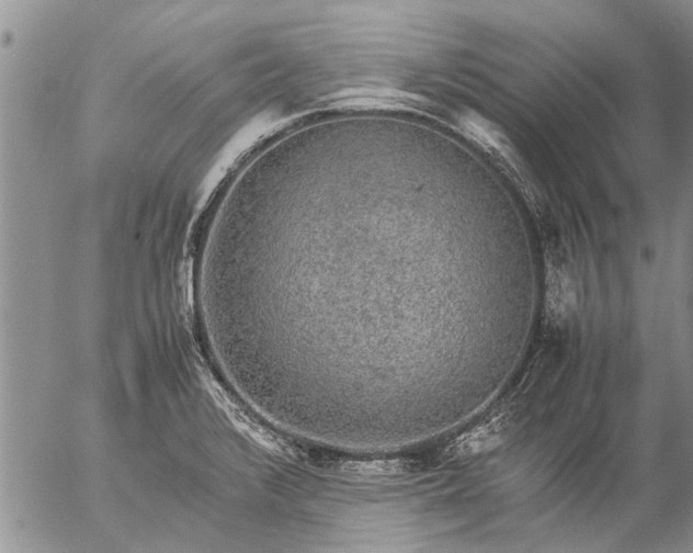 X0000057101376200509161644