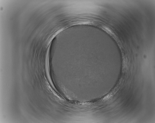 X0000057101377200509161644