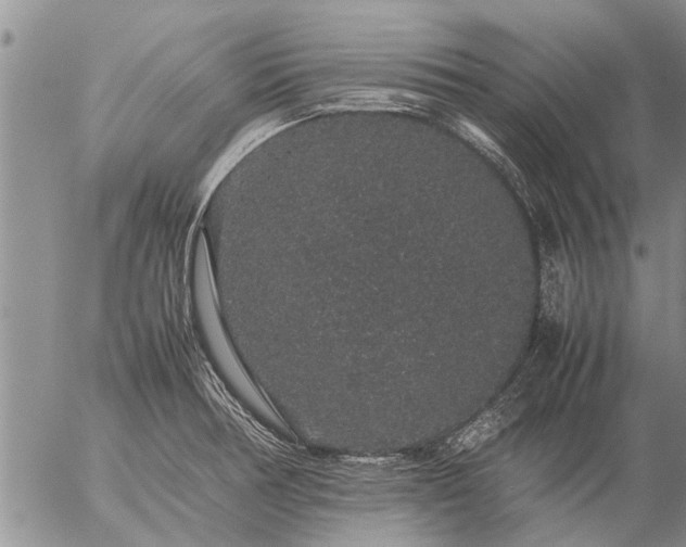 X0000057101378200509161644