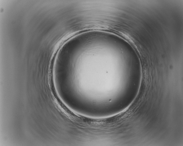 X0000057101379200509161644