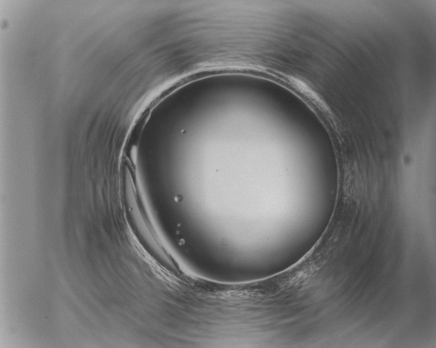 X0000057101380200509161644