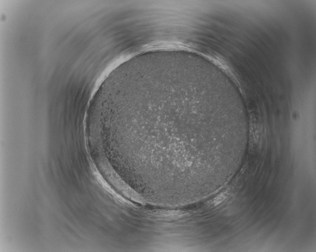 X0000057101382200509161644