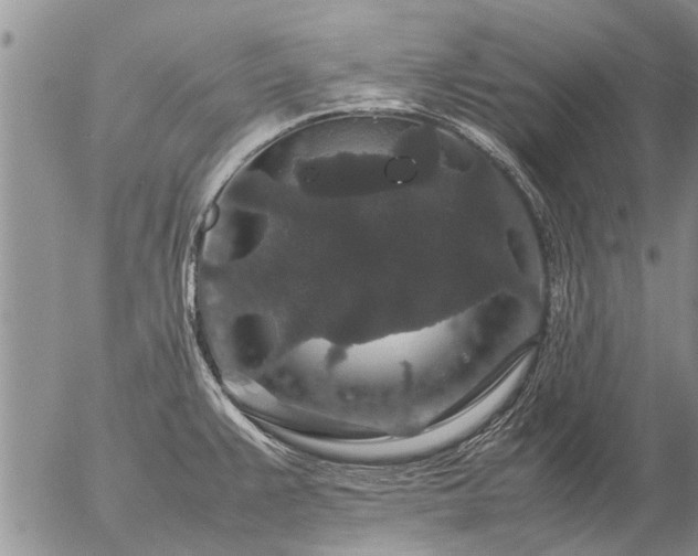 X0000057101383200509161644