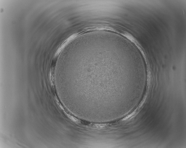 X0000057101385200509161644