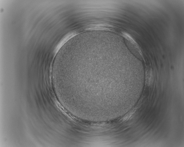 X0000057101386200509161644