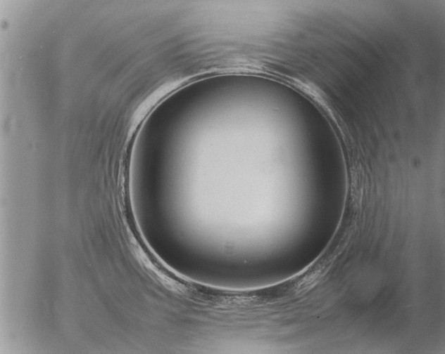 X0000057101387200509161644