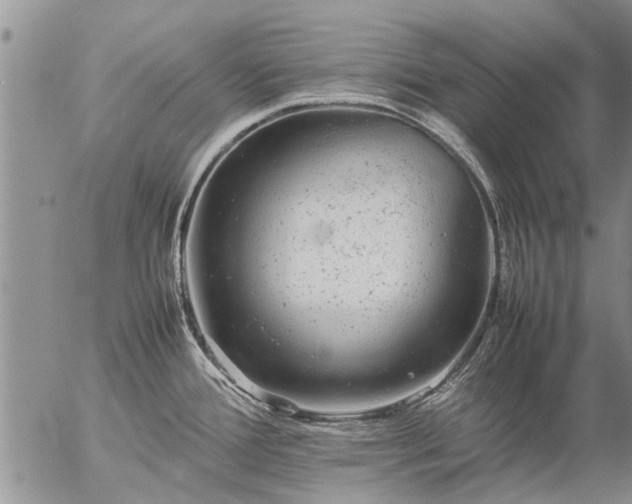 X0000057101388200509161643