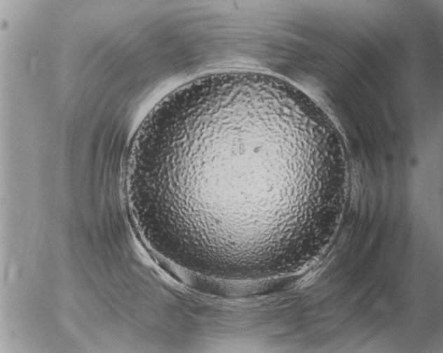 X0000057101390200509161643