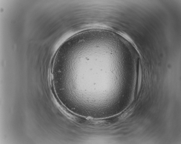 X0000057101391200509161643