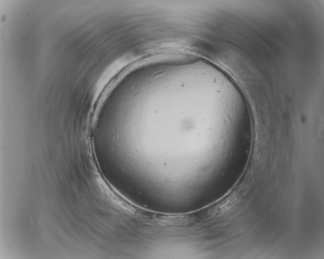 X0000057101392200509161643