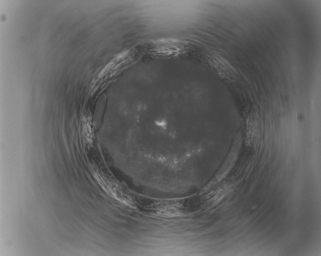 X0000057101394200509161643