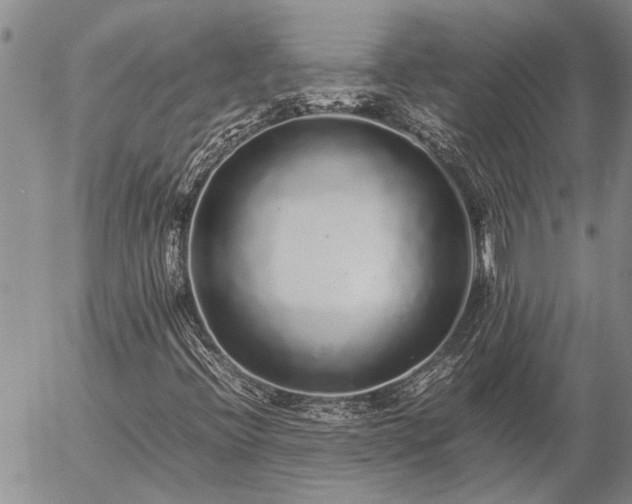 X0000057101396200509161643