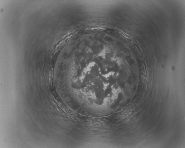 X0000057101397200509161643