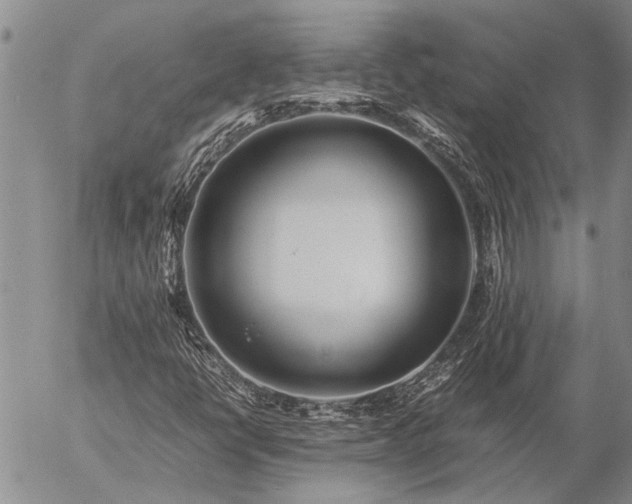 X0000057101398200509161643