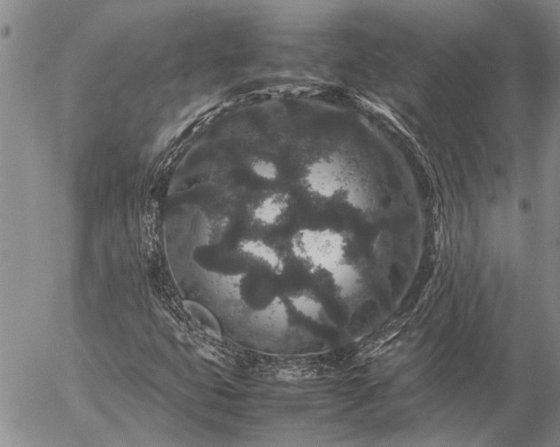 X0000057101399200509161643