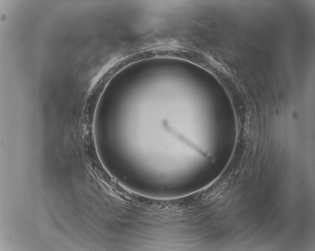 X0000057101400200509161643