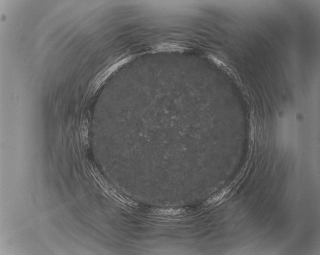 X0000057101401200509161643