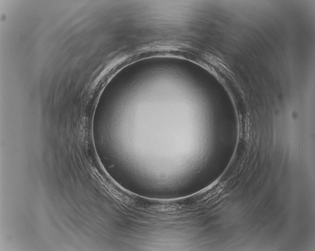 X0000057101404200509161643