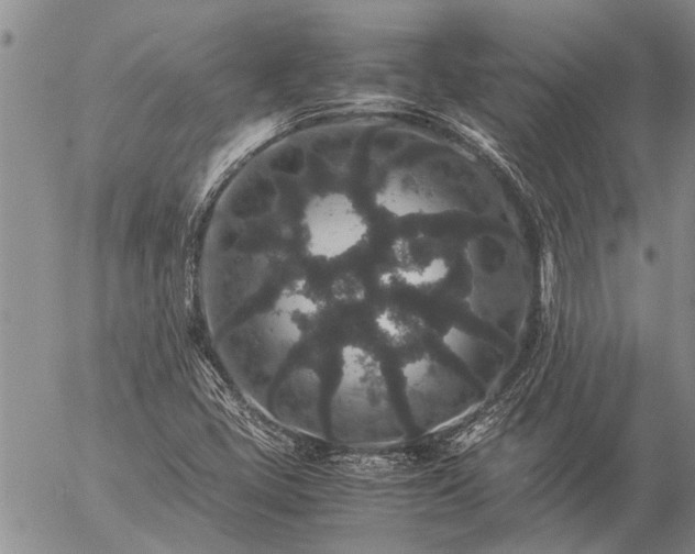 X0000057101405200509161643