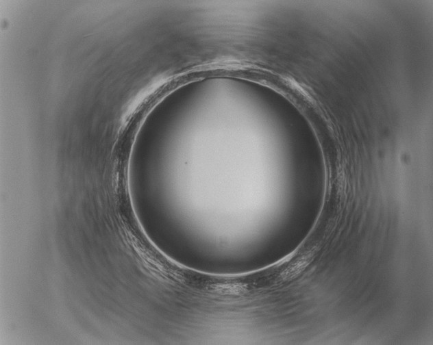 X0000057101406200509161643