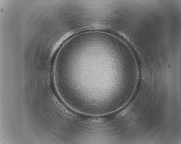 X0000057101410200509161643