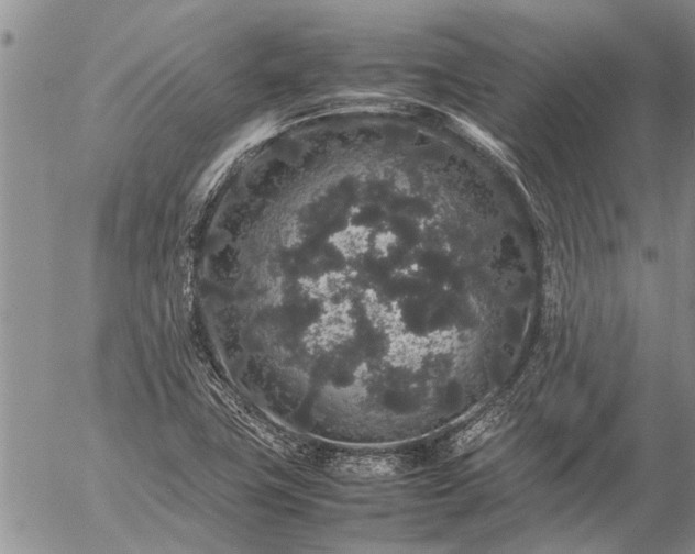 X0000057101411200509161643