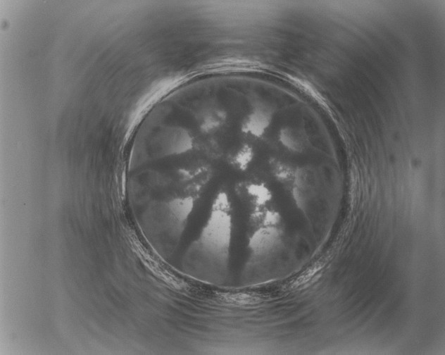 X0000057101413200509161643