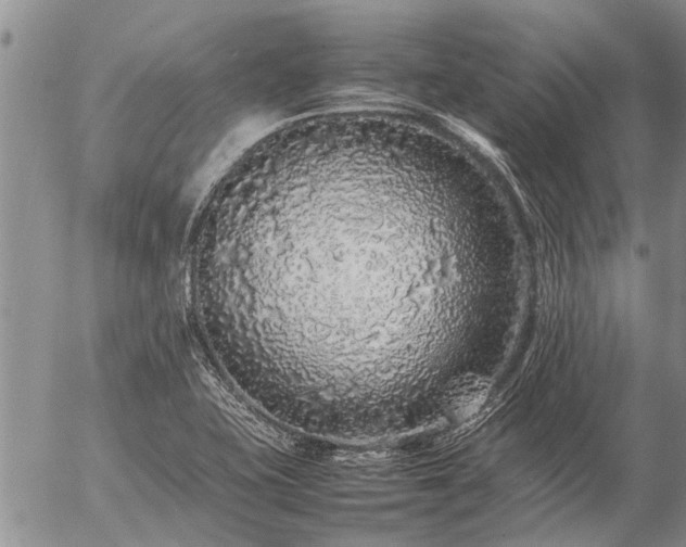 X0000057101415200509161643