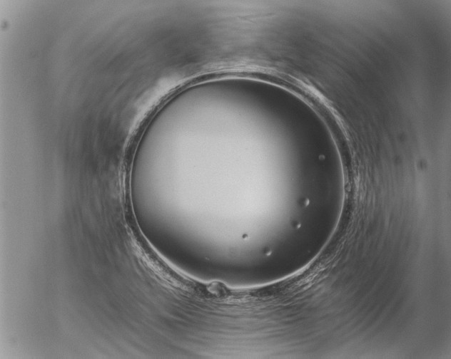 X0000057101416200509161643