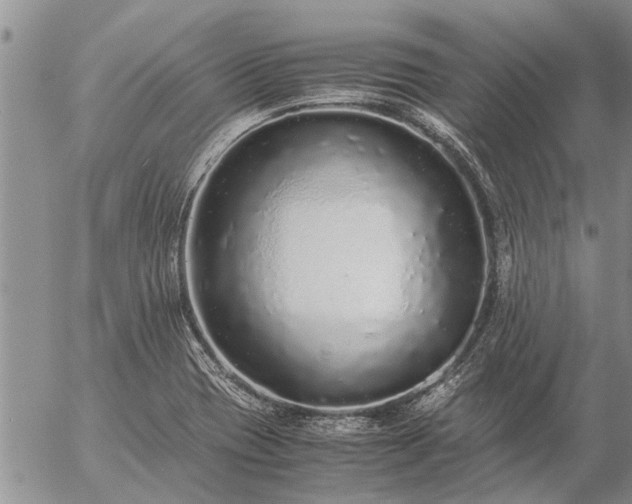 X0000057101417200509161643