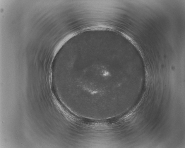 X0000057101418200509161643