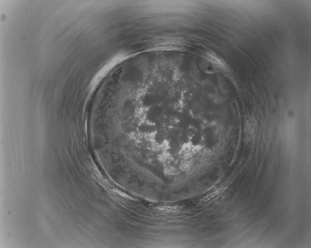 X0000057101419200509161643