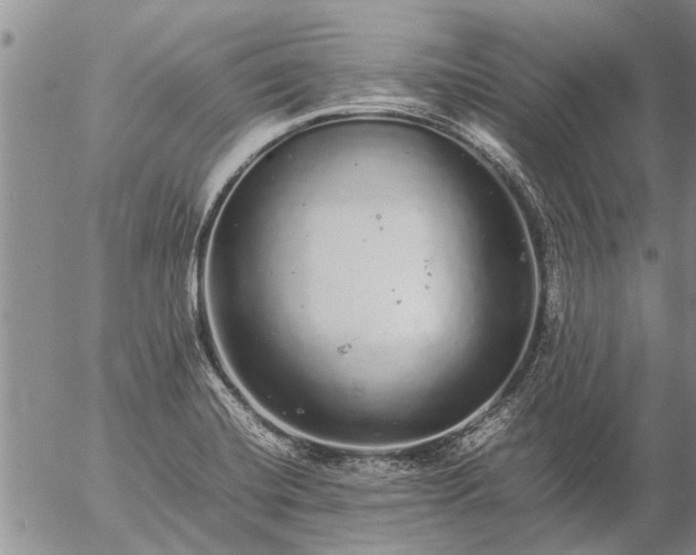 X0000057101420200509161643