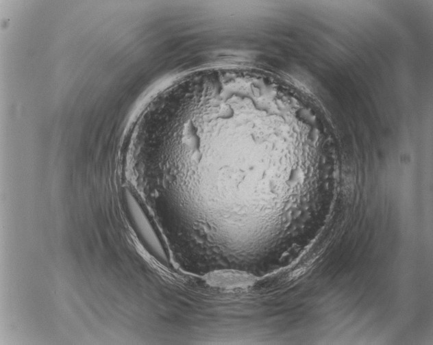 X0000057101421200509161643